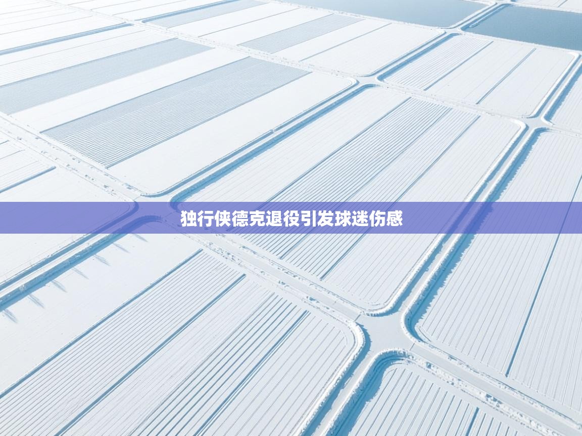 独行侠德克退役引发球迷伤感  第1张